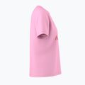 Koszulka damska Arcteryx Kragg SL Cotton Heatmap Crew pineberry 4
