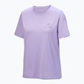 Koszulka damska Arc'teryx Kragg Sl Cotton Emblem Crew mallow 4