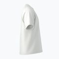 Koszulka męska Arcteryx Kragg Cotton Emblem Crew SS white light 11