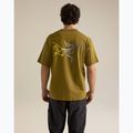 Koszulka męska Arcteryx Kragg Cotton Logo SS bracken 3