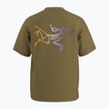 Koszulka męska Arcteryx Kragg Cotton Logo SS bracken 9
