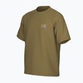 Koszulka męska Arcteryx Kragg Cotton Logo SS bracken 10