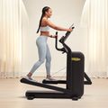 Orbitrek Technogym Elliptical 8