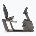 Rower stacjonarny Matrix Fitness Recumbent Bike R50XIR-02 graphite grey