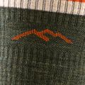 Skarpety męskie Darn Tough Hiker Boot Sock Cushion olive 2