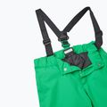 Spodnie narciarskie dziecięce Reima Proxima cat eye green 3