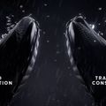 Buty turystyczne męskie Columbia Facet 60 Low Outdry black/ancient fossil 11