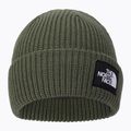 Czapka zimowa The North Face Salty thyme 2