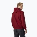 Bluza męska Helly Hansen HH Logo Hoodie oxblood 2