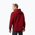 Bluza męska Helly Hansen Arctic Ocean Hoodie oxblood 2