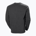 Sweter męski Helly Hansen Arctic Ocean Sweater ebony melange 5