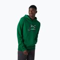 Bluza męska Helly Hansen F2F Organic Cotton Hoodie malachite/486 3