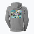 Bluza męska Helly Hansen F2F Organic Cotton Hoodie grey fog melange/squamish 2