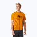 Koszulka męska Helly Hansen HH Tech Graphic cloudberry