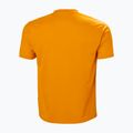 Koszulka męska Helly Hansen HH Tech Graphic cloudberry 5