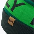 Czapka zimowa Helly Hansen Ridgeline darkest spruce 3