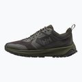 Buty męskie Helly Hansen Gobi 2 beluga/forest night 12