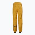 Spodnie narciarskie męskie Helly Hansen Sogn Cargo cloudberry 7