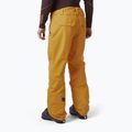 Spodnie narciarskie męskie Helly Hansen Sogn Cargo cloudberry 2