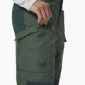 Spodnie trekkingowe męskie Helly Hansen Vandre Tur spruce 3