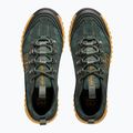 Buty męskie Helly Hansen Venali darkest spruce/mead 15