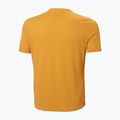 Koszulka trekkingowa męska Helly Hansen HH Tech cloudberry 6