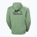 Bluza męska Helly Hansen Yu Hoodie 2.0 jade 2.0 2