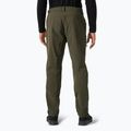 Spodnie softshell męskie Helly Hansen Blaze Softshell utility green 2