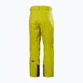 Spodnie narciarskie męskie Helly Hansen Legendary Insulated bright moss 8