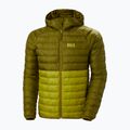 Kurtka męska Helly Hansen Banff Hooded Insulator bright moss 11