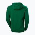 Bluza męska Helly Hansen F2F Organic Cotton Hoodie malachite/488 5