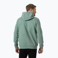 Bluza męska Helly Hansen HH Logo Hoodie cactus 2