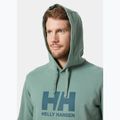 Bluza męska Helly Hansen HH Logo Hoodie cactus 3