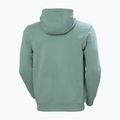 Bluza męska Helly Hansen HH Logo Hoodie cactus 6