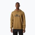 Bluza męska Helly Hansen Nord Graphic Pull Over Hoodie lynx