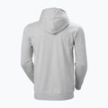 Bluza męska Helly Hansen Nord Graphic Pull Over Hoodie grey melang 2