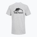 Koszulka męska Helly Hansen Nord Graphic grey melang 2