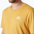 Koszulka męska Helly Hansen Nord Graphic sand 3