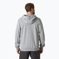 Bluza męska Helly Hansen HH Logo Full Zip Hoodie 2.0 grey/ melange 2