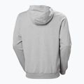 Bluza męska Helly Hansen HH Logo Full Zip Hoodie 2.0 grey/ melange 6