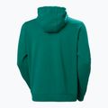 Bluza męska Helly Hansen HH Logo Hoodie 2.0 emerald 6