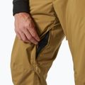 Spodnie narciarskie męskie Helly Hansen Legendary Insulated lynx 4