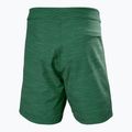 Szorty kąpielowe męskie Helly Hansen Newport Boardshorts 8" jungle green 6