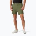 Spodenki trekkingowe Helly Hansen Move Quick-Dry 6" lav green