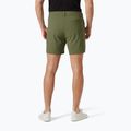 Spodenki trekkingowe Helly Hansen Move Quick-Dry 6" lav green 2