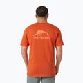 Koszulka męska Helly Hansen Nord Graphic patrol orange 2