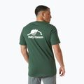 Koszulka męska Helly Hansen Nord Graphic jungle green 2