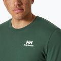 Koszulka męska Helly Hansen Nord Graphic jungle green 3