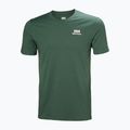 Koszulka męska Helly Hansen Nord Graphic jungle green 4