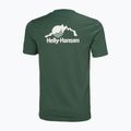 Koszulka męska Helly Hansen Nord Graphic jungle green 5